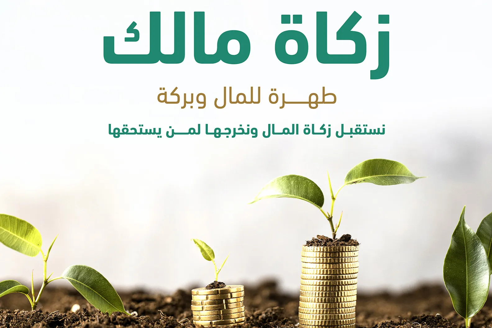 زكاتك .. حياة